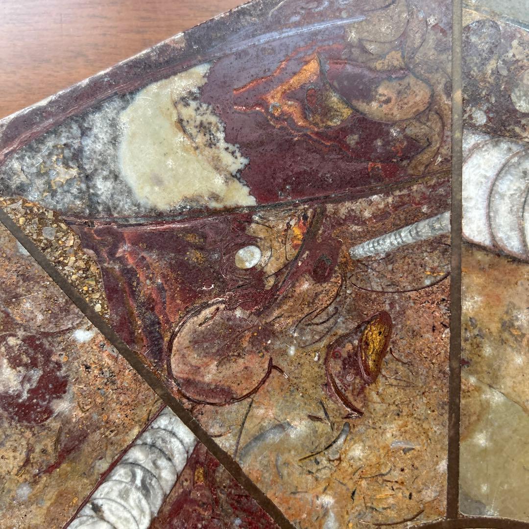 レア　アンモナイト　化石　八角形石製置物 約32.5cm