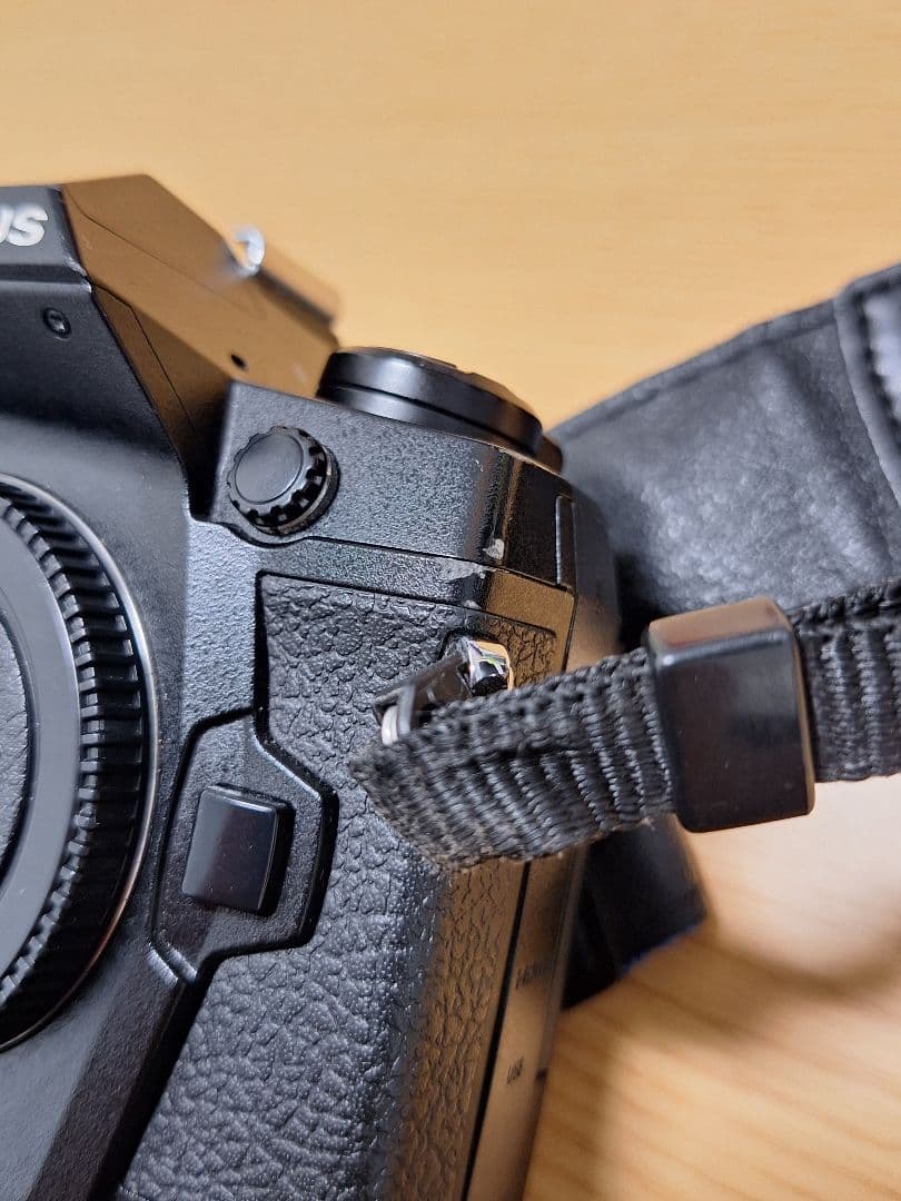 OLYMPUS　OM-D　E-M1X