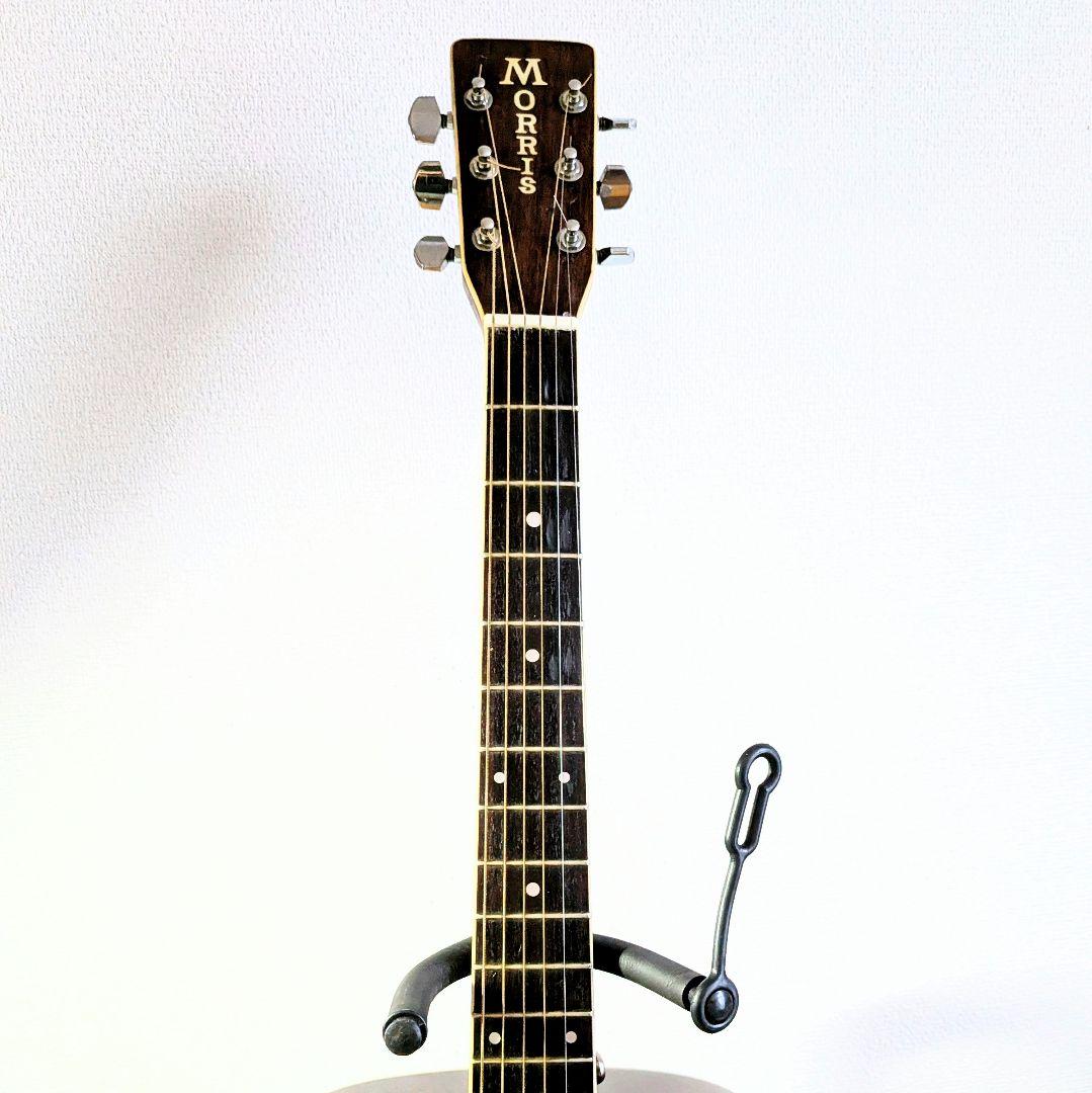 MORRIS　W-35　モーリス　ビィンテージ　トップ単板