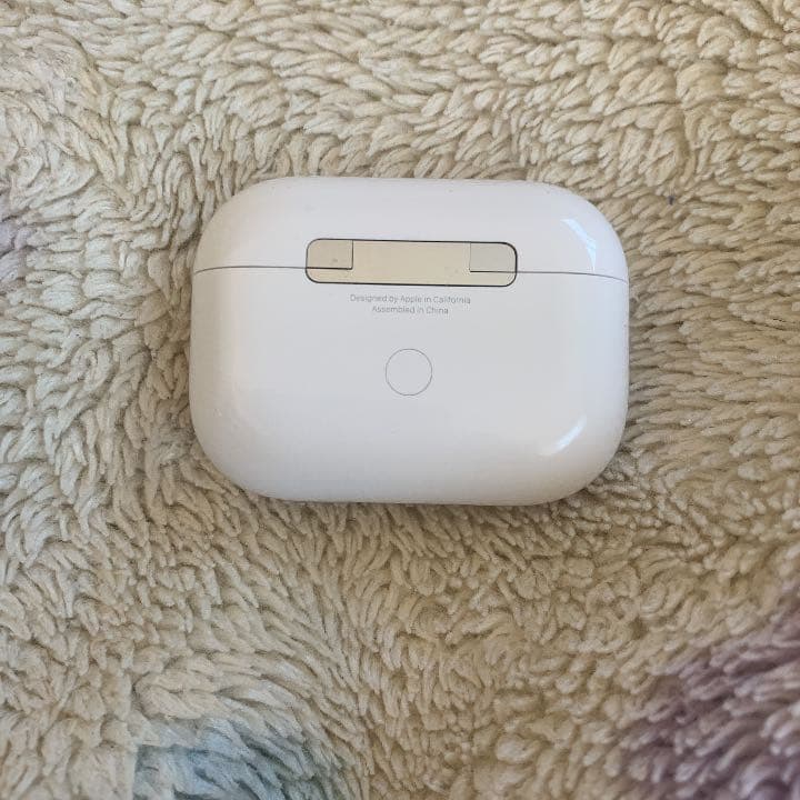 AirPods Proの本体（耳なし）