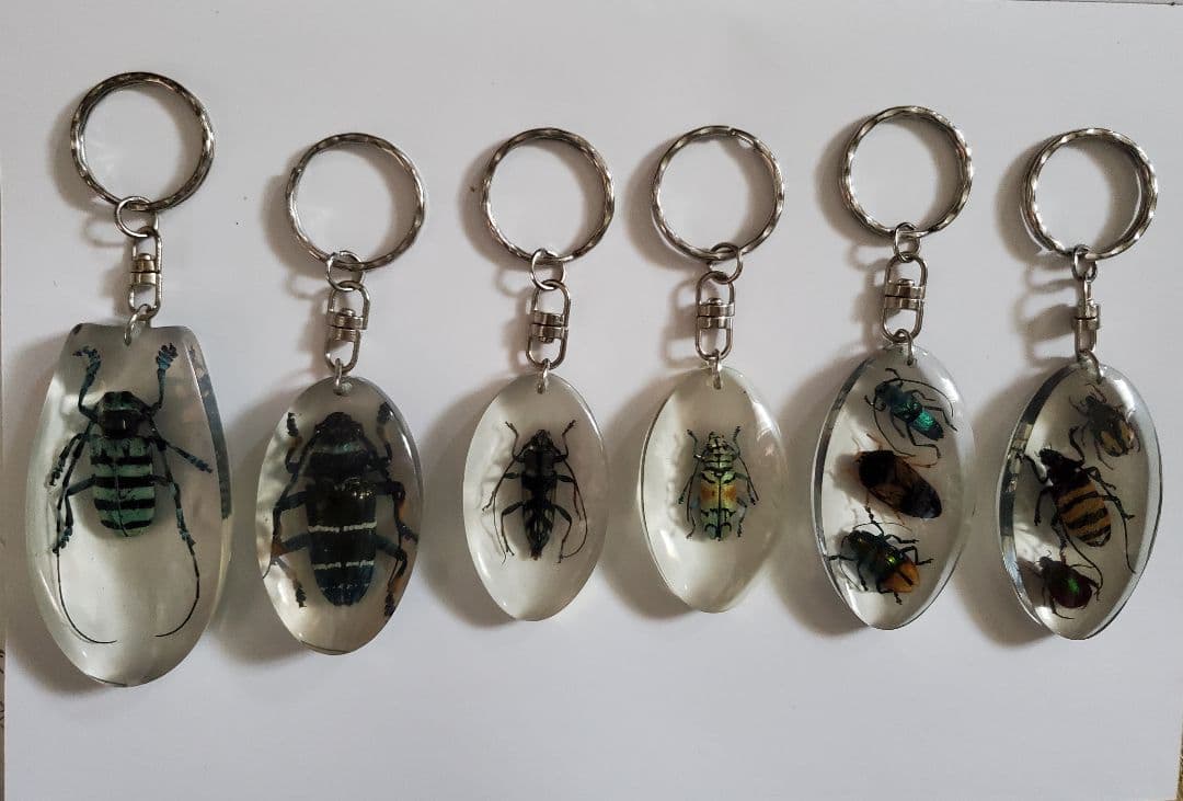 インドネシア産　カミキリムシ　キーホルダー　6点セット