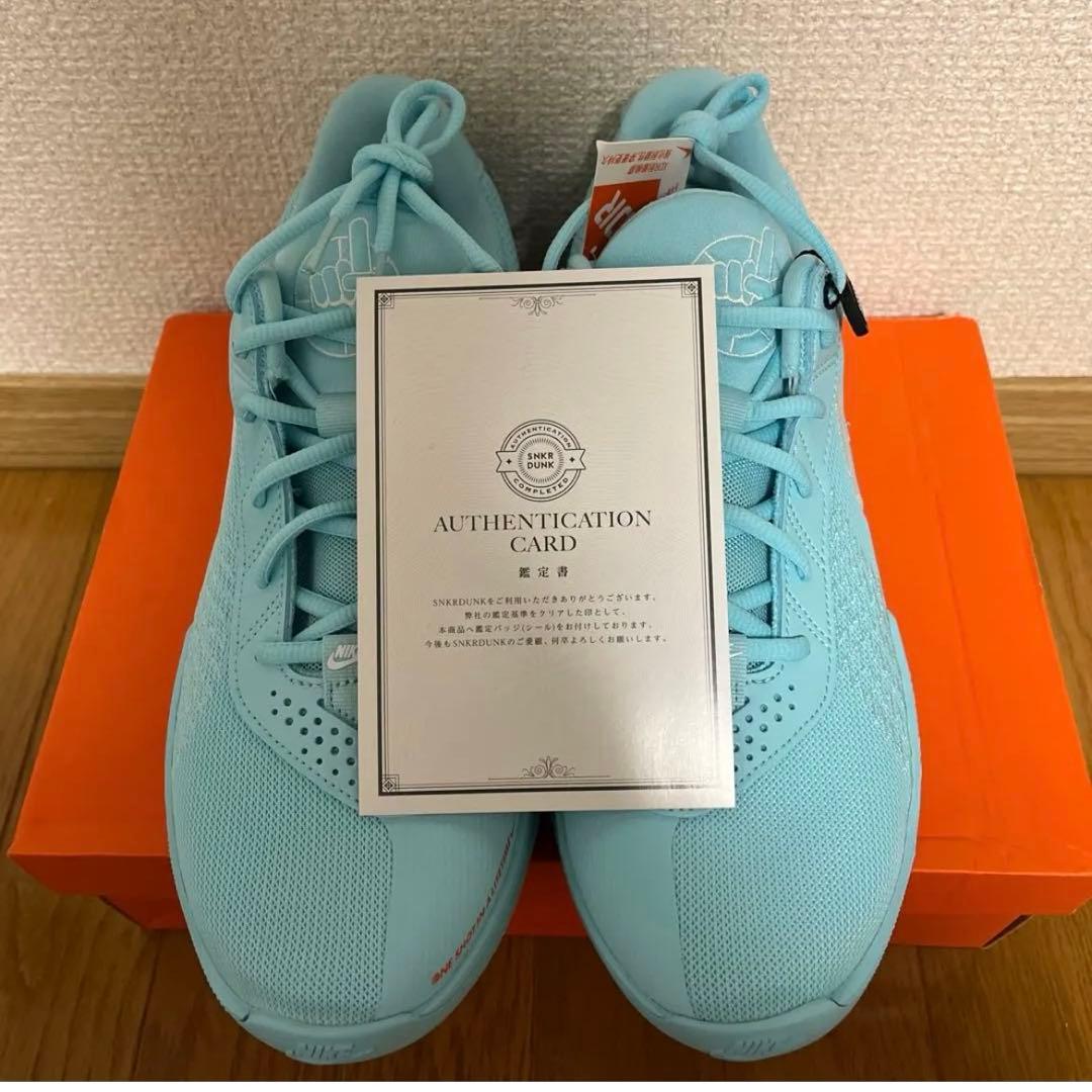 シューズ(男性用) NIKE AIR ZOOM G.T. CUT ACADEMY 'CHBL'