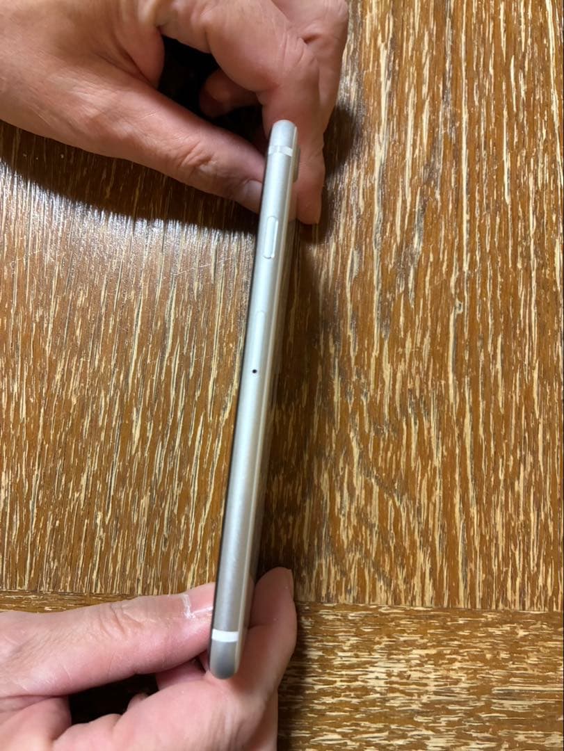 Apple iPhone SE（第二世代）シルバー 本体➕充電器の線2本