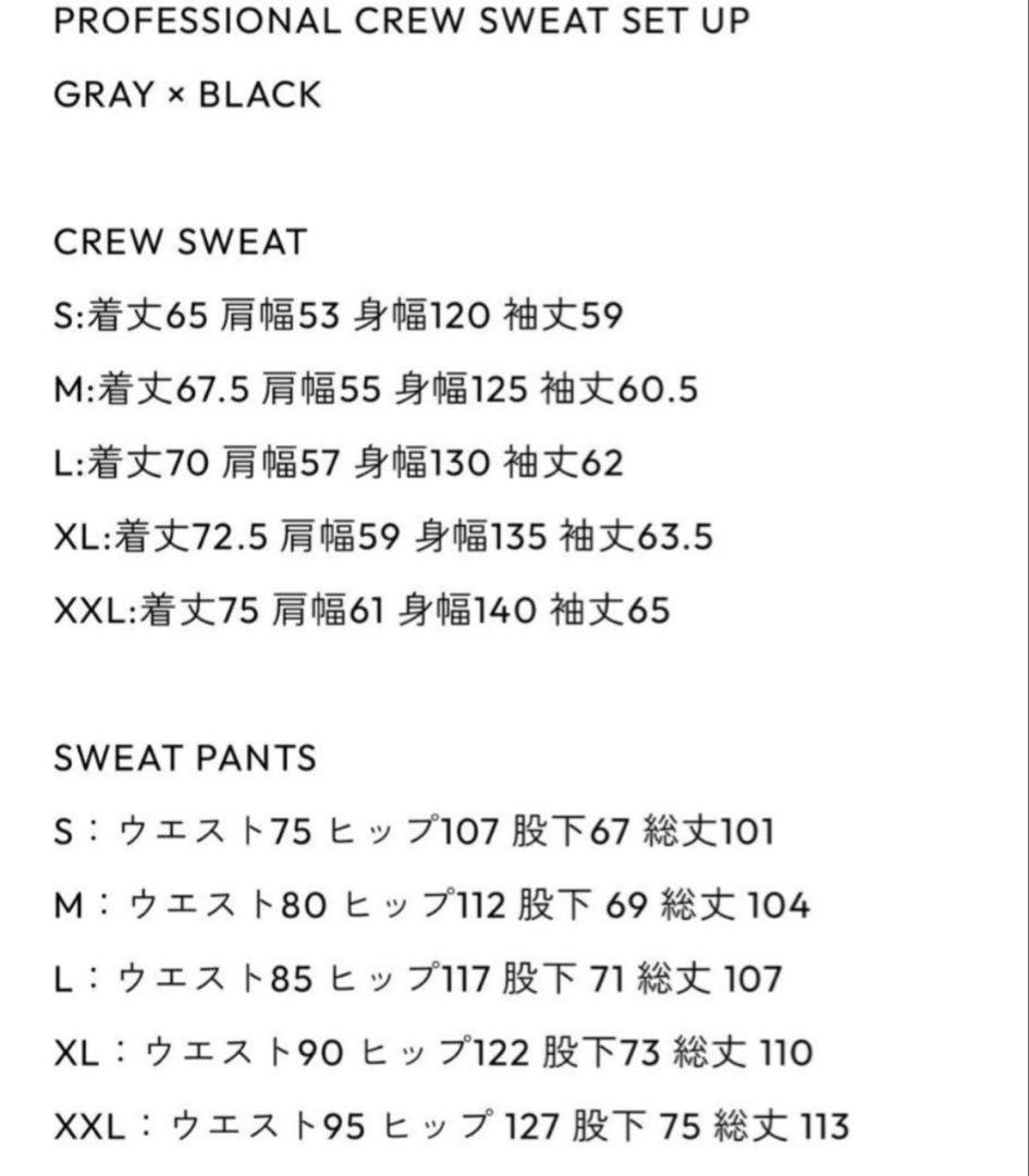 美品　PROFESSIONAL CREW SWEAT SET UP Mサイズ