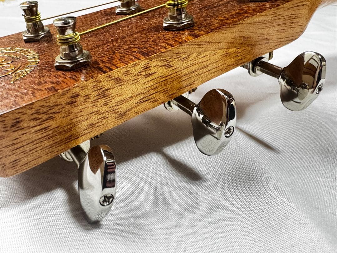 トラベルギター【 SX TRAVELLER TG1 】 アコースティックギター