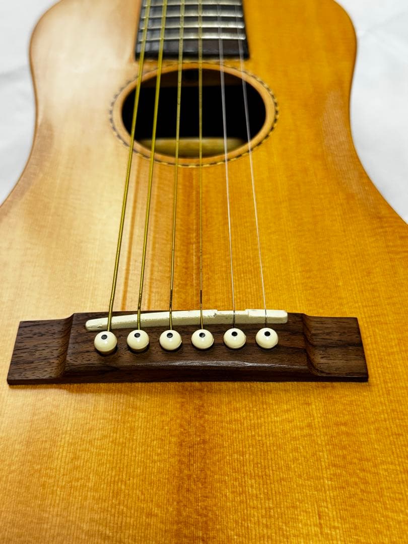 トラベルギター【 SX TRAVELLER TG1 】 アコースティックギター