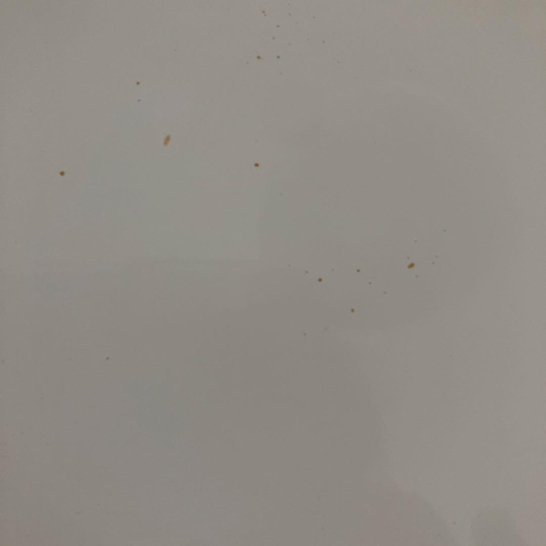  peak スノーピーク2017春ノベルティランチボックス