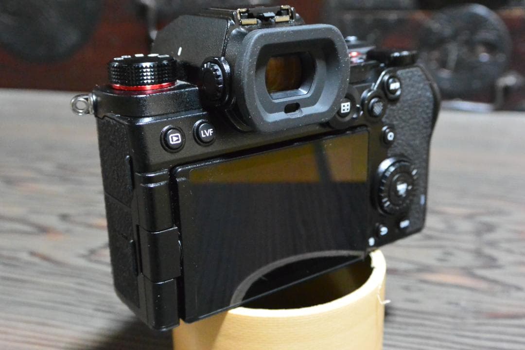 Panasonic パナソニック LUMIX S5 ミラーレスカメラ