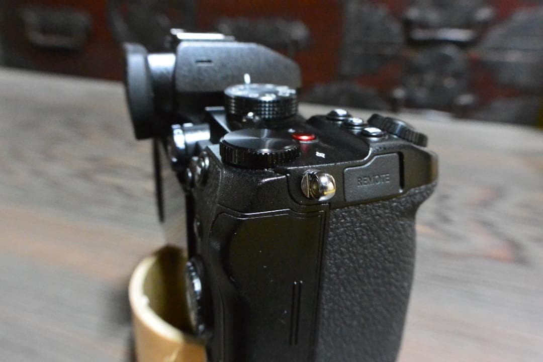 Panasonic パナソニック LUMIX S5 ミラーレスカメラ