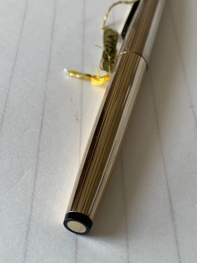 希少 プラチナ 950 シルバー GP 万年筆