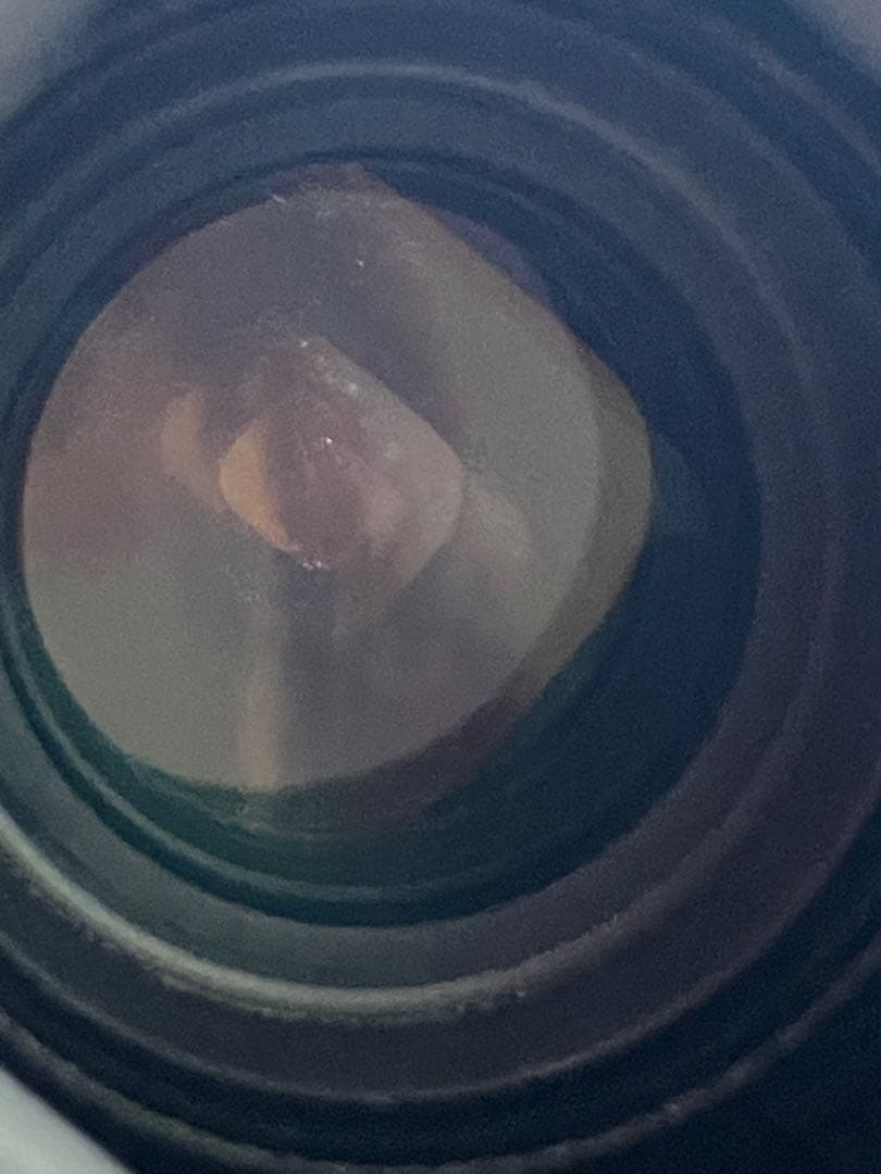 デジタルカメラ EOS 6D Mark II / EF24-105mm 1:4 L IS USM