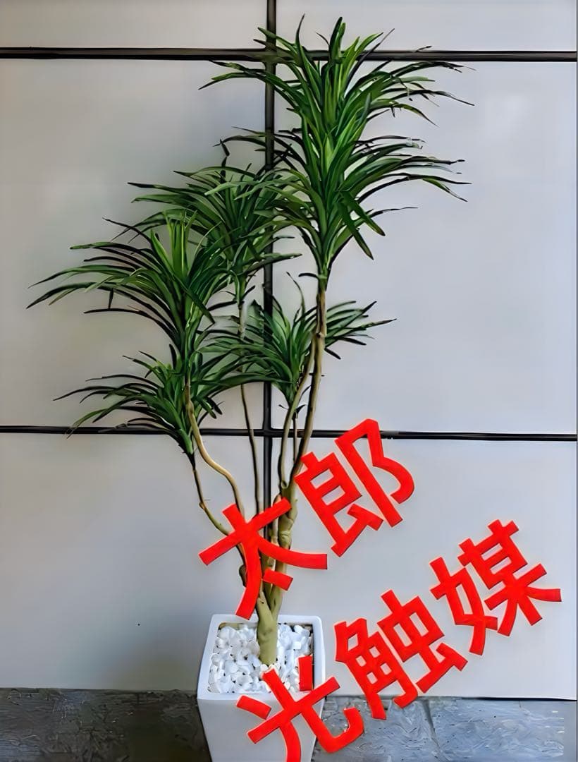 光触媒　人工観葉植物　ウォールグリーン　フェイクグリーン　コンシンネ150a1