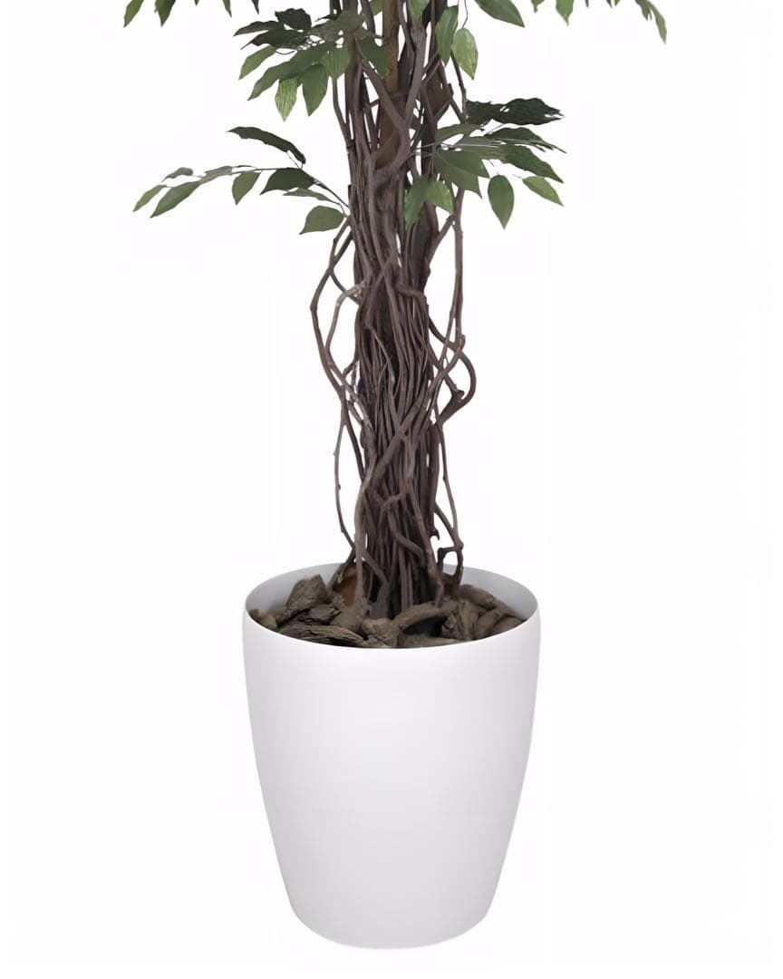 光触媒　人工観葉植物　フェイクグリーン　ベンジャミンリアナ1.8