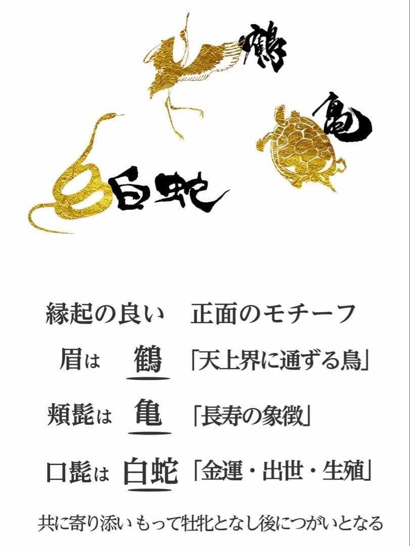 半眼座禅　だるま　高崎だるま