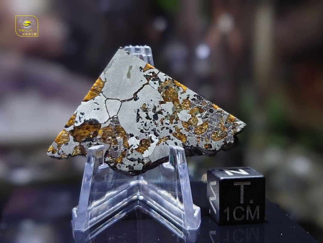 隕石 Hassi El Biod 002 パラサイト 12.23g⭐