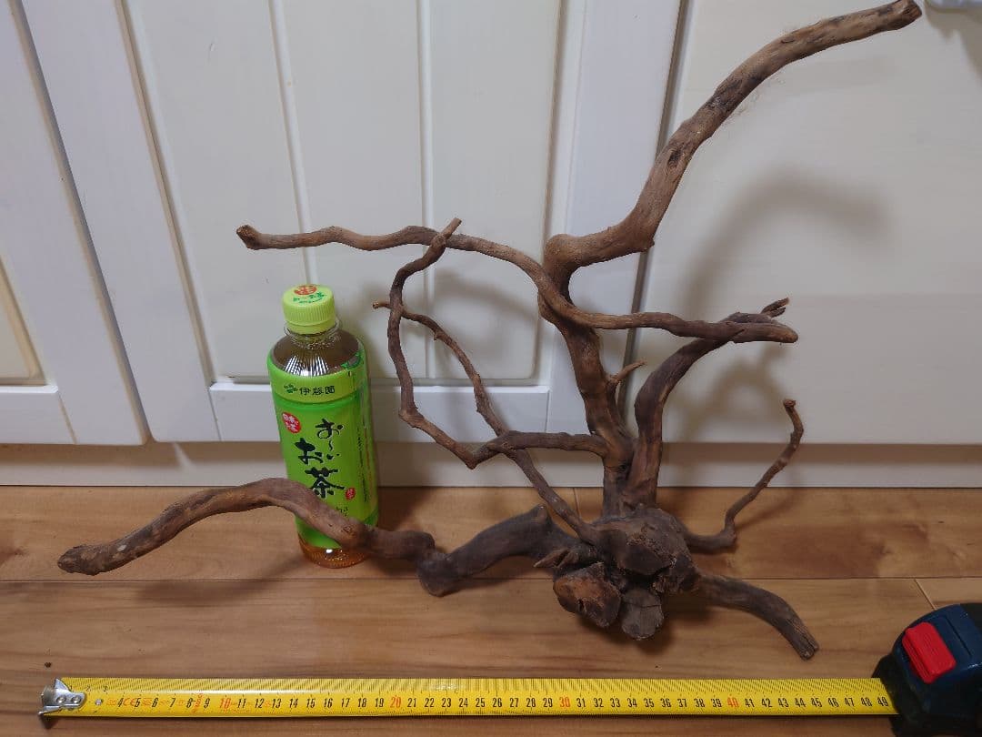 水槽用流木 自然な形状 約30cm〜50cm
