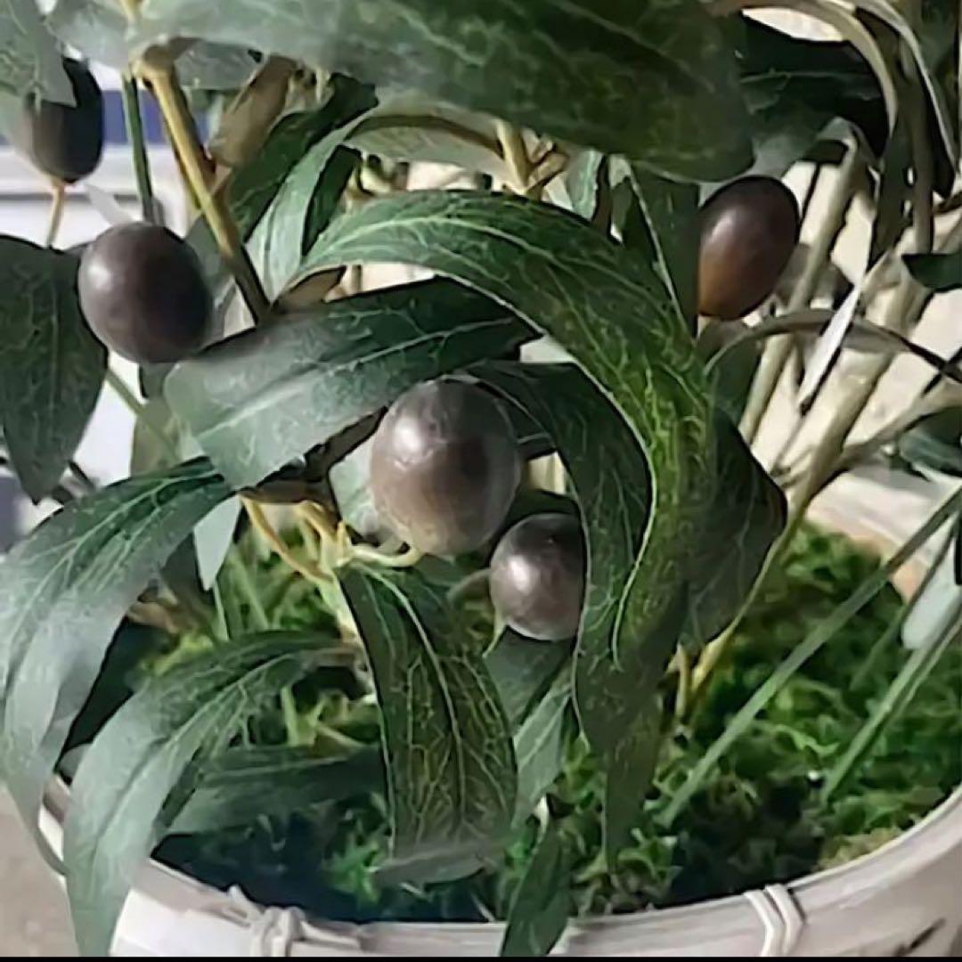 光触媒　人工観葉植物　ウォールグリーン　フェイクグリーン　オリーブ100