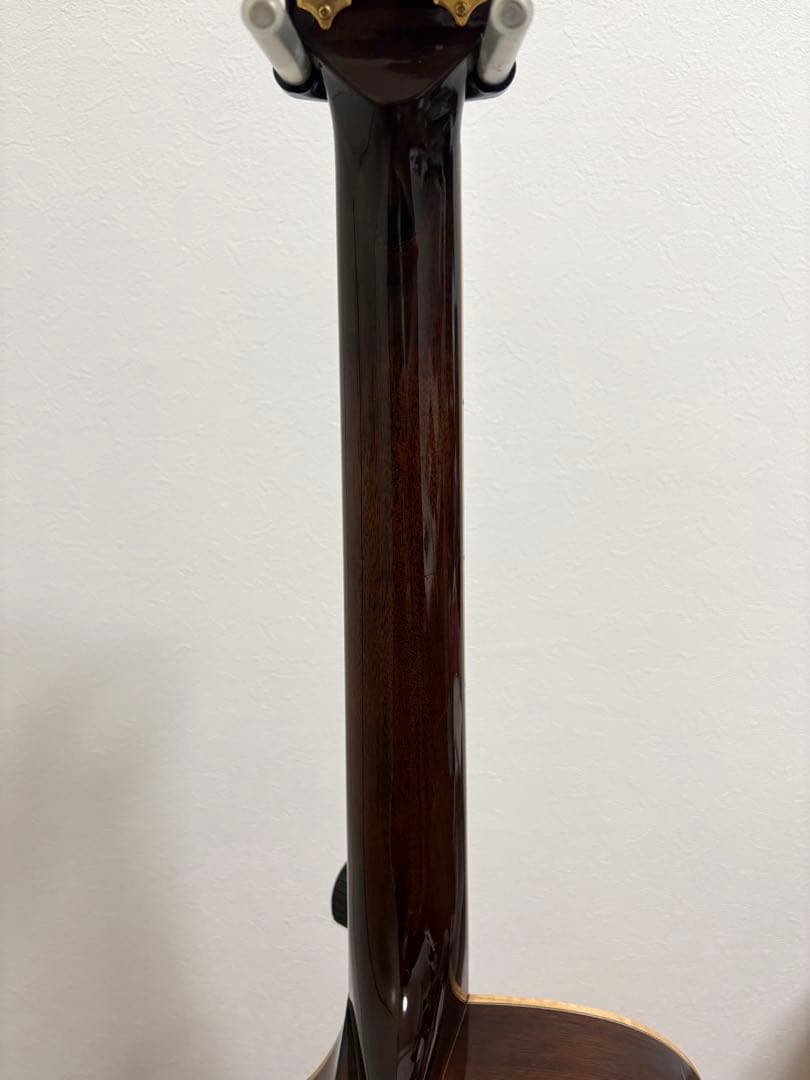 ギター History / NT-501