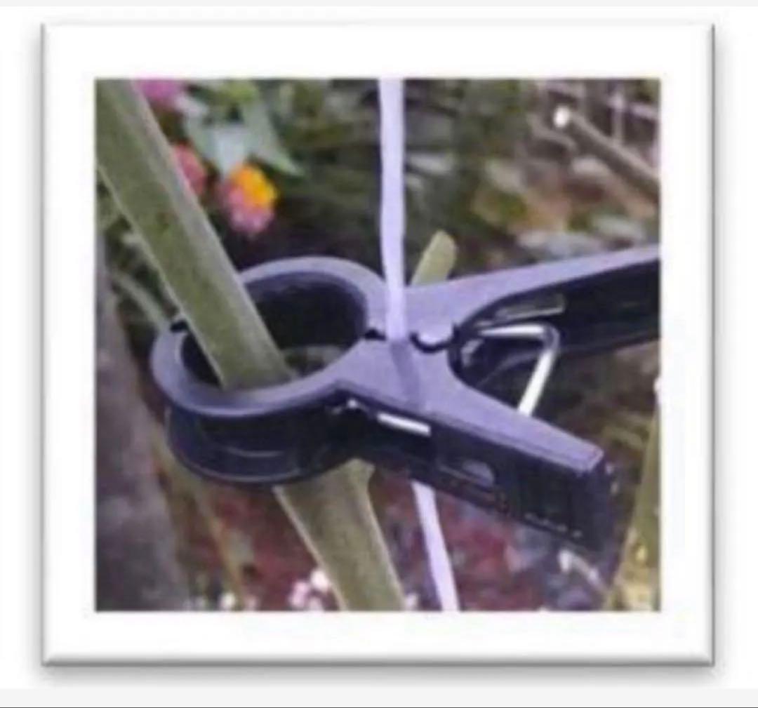 誘引クリップ 茎に優しい Ｒ型（サイズ：16㎜）1箱/2,000個入