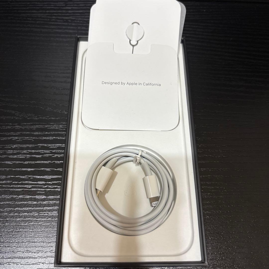Apple iPhone13ProMax シエラブルー