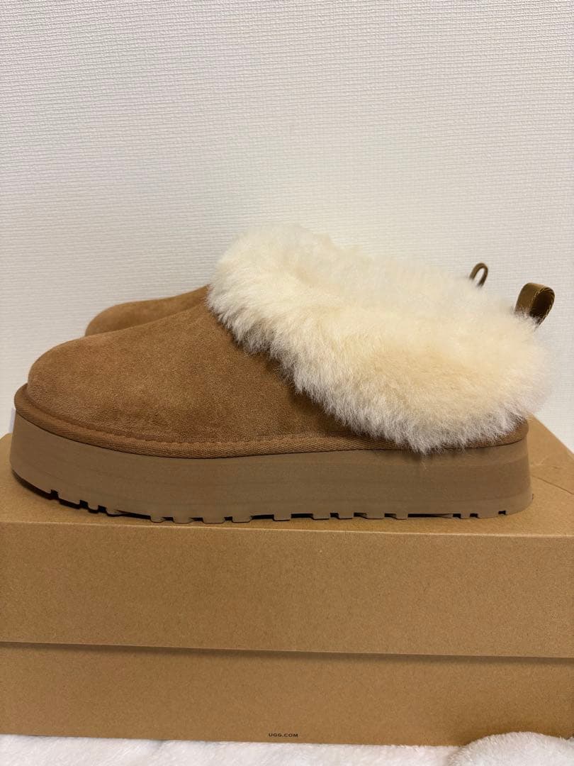 ★新品未使用★ UGG アグ Tazzelle（タゼル）厚底チェスナット25cm
