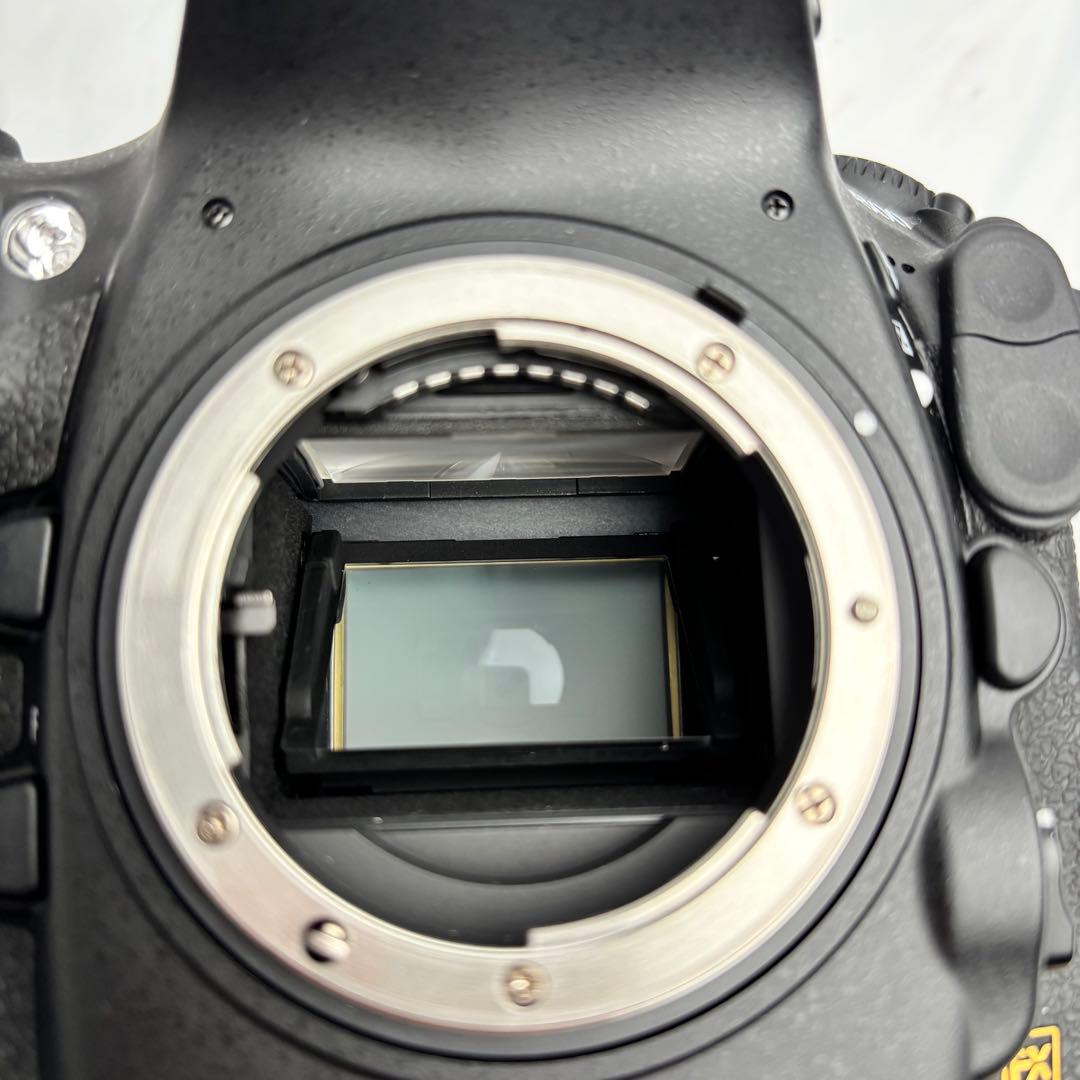 【チョメ山城】Nikon D800 《ショット数2233回》