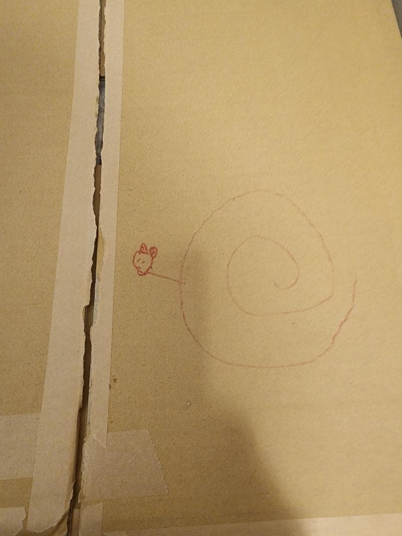 使い捨て弁当箱 4つの仕切り