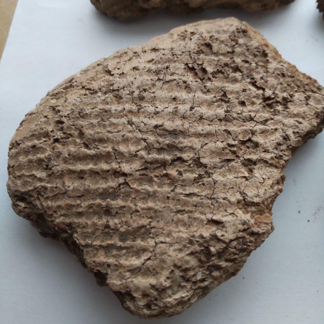 ★本物の縄文土器★(新潟県出土)⑳、7点