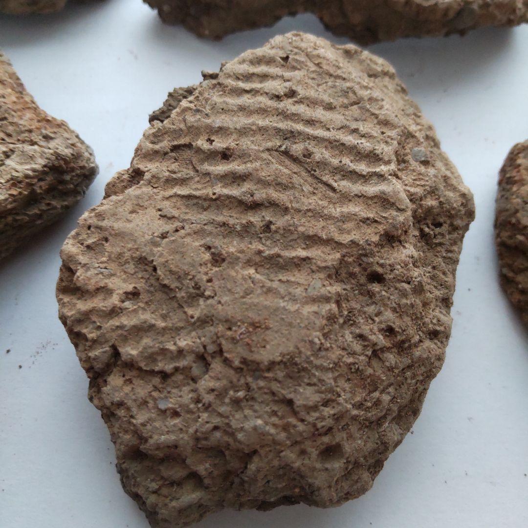 ★本物の縄文土器★(新潟県出土)⑳、7点