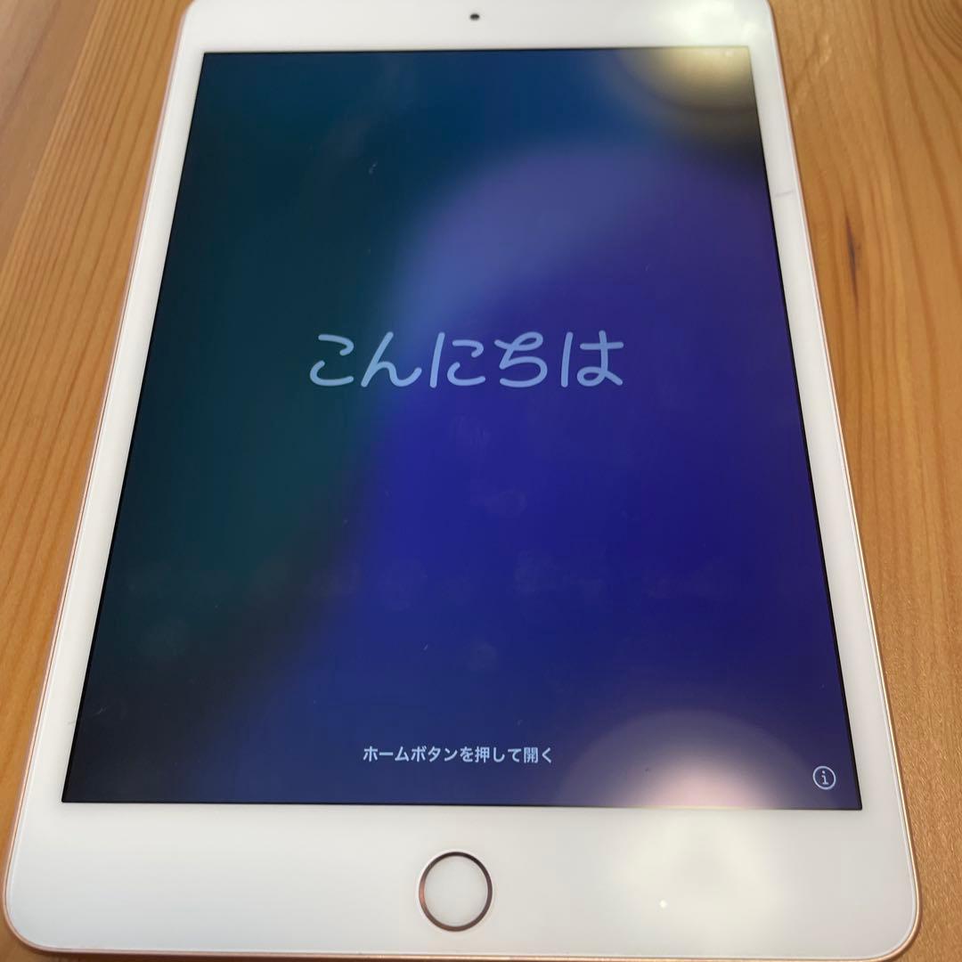 iPad mini (第5代) 64GB