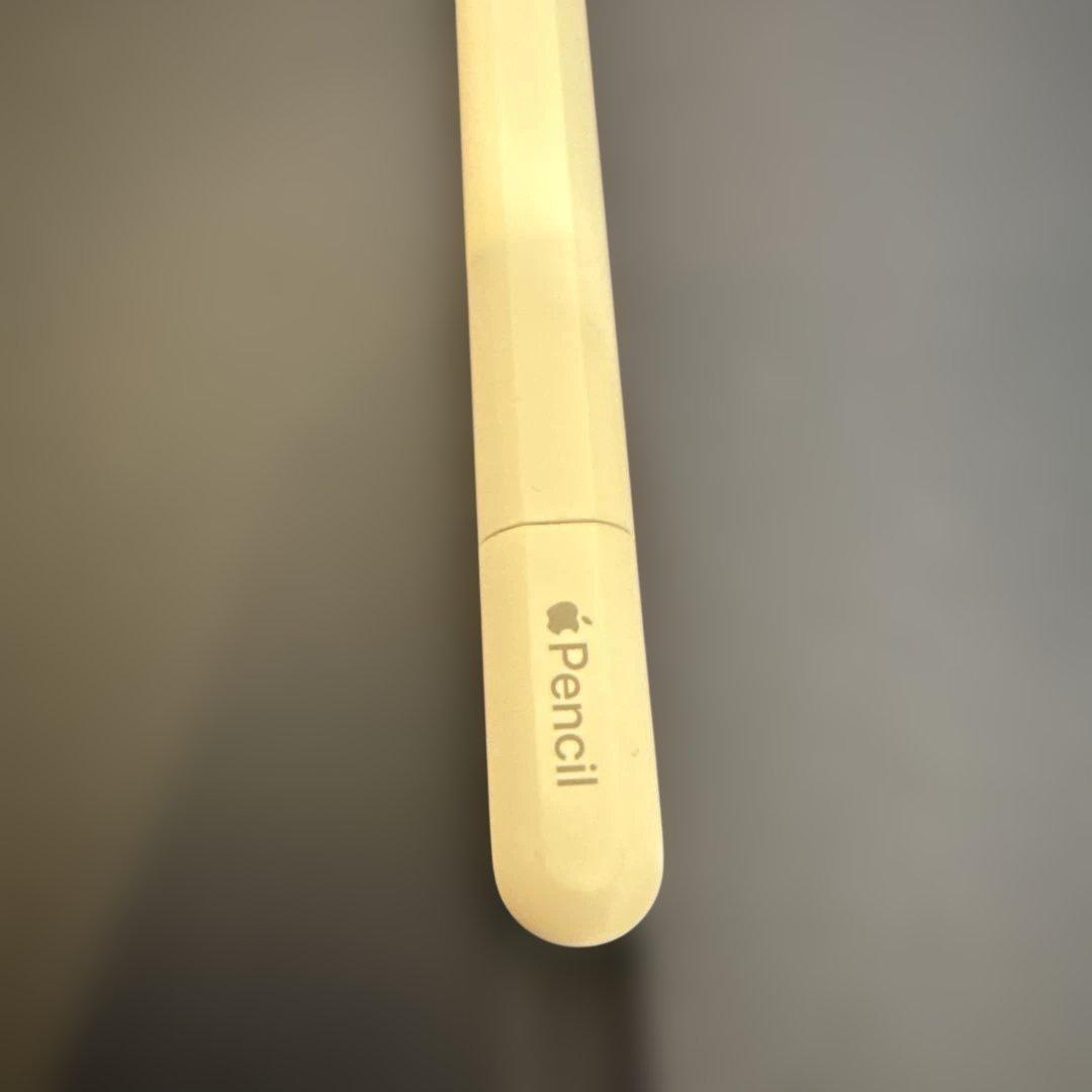 Apple Pencil アップル ペンシルUSB-C USED 中古