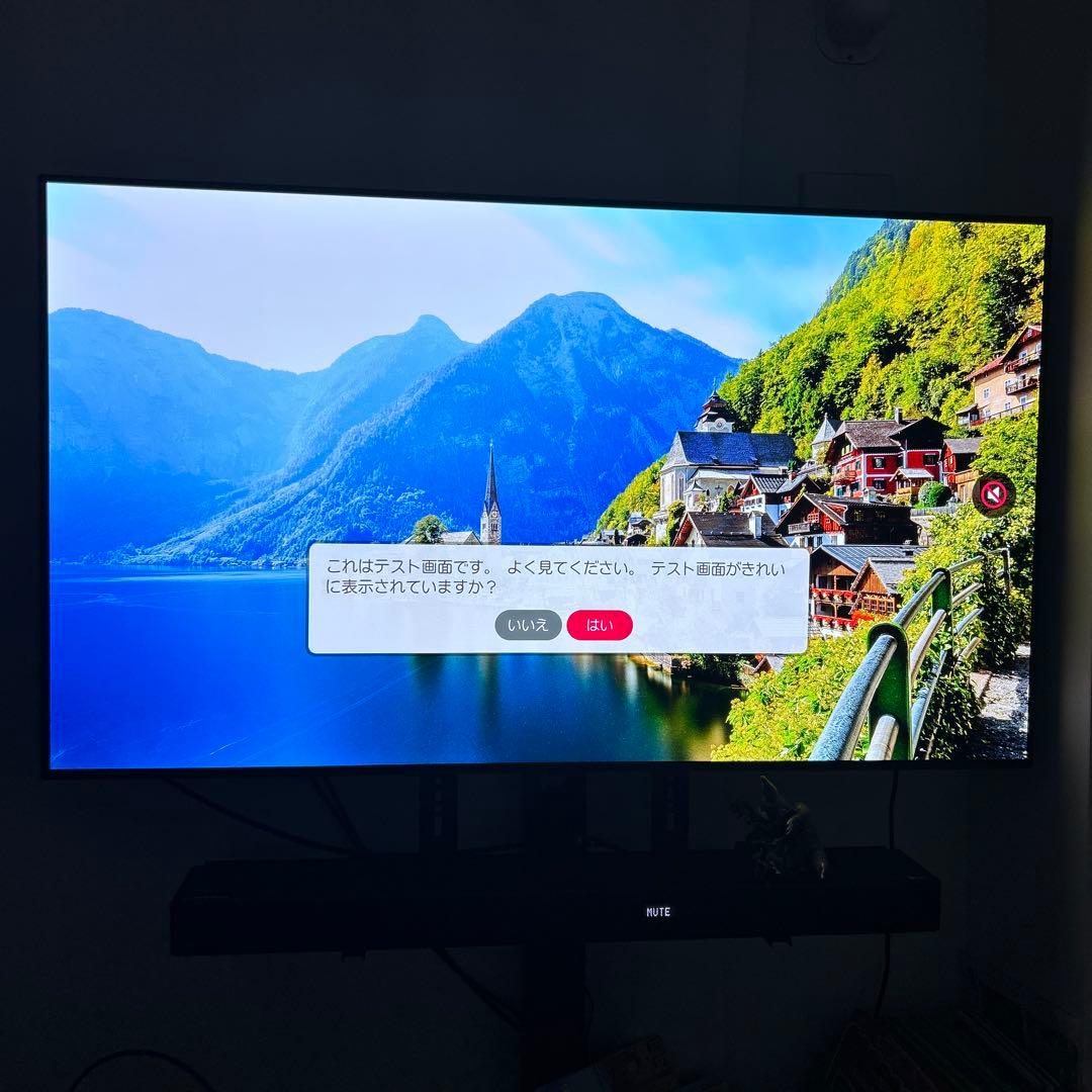 pop 55インチ 有機ELテレビ 4K LG OLED55C8PJA