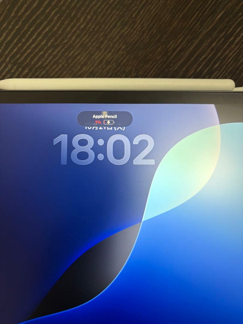 Apple iPad Pro(第3世代) Appleペンシル付