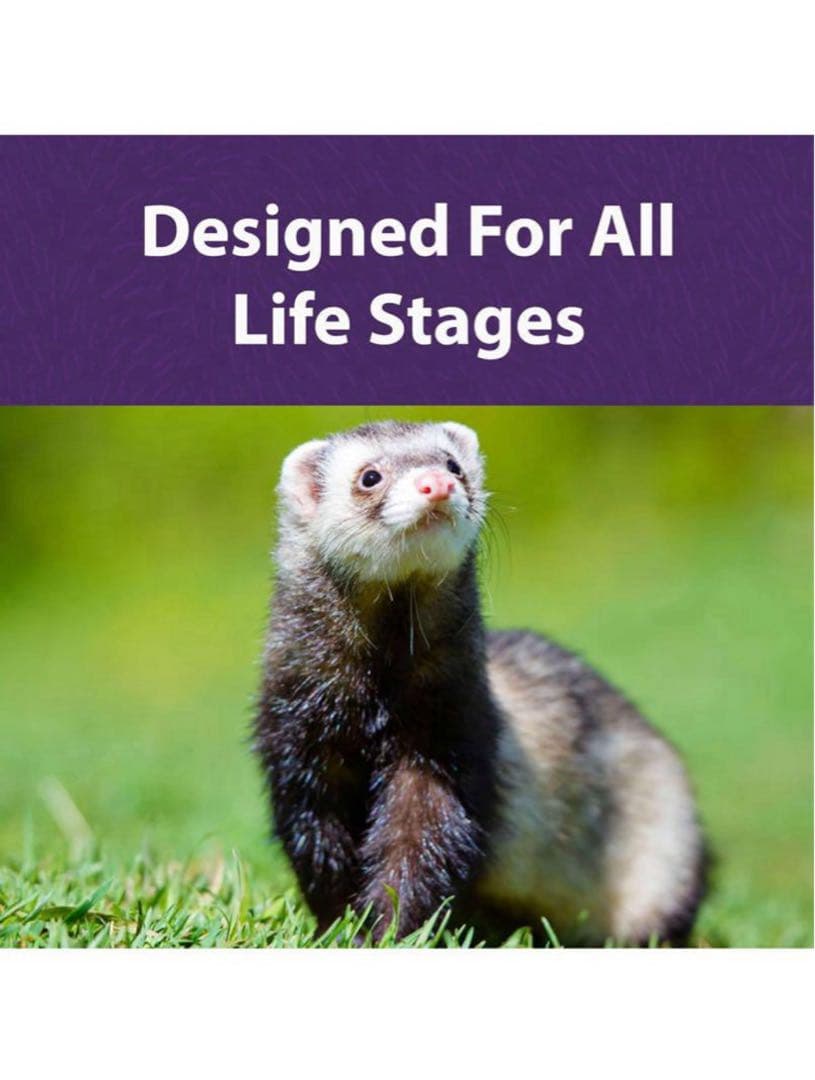 Mazuri フェレットフード 11.34Kg