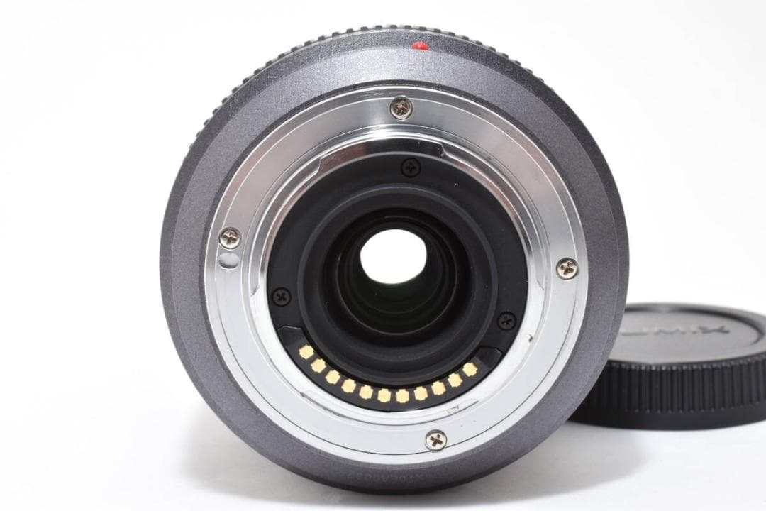 ★専用★LUMIXGVARIO 45-200 4-5.6 H-FS045200