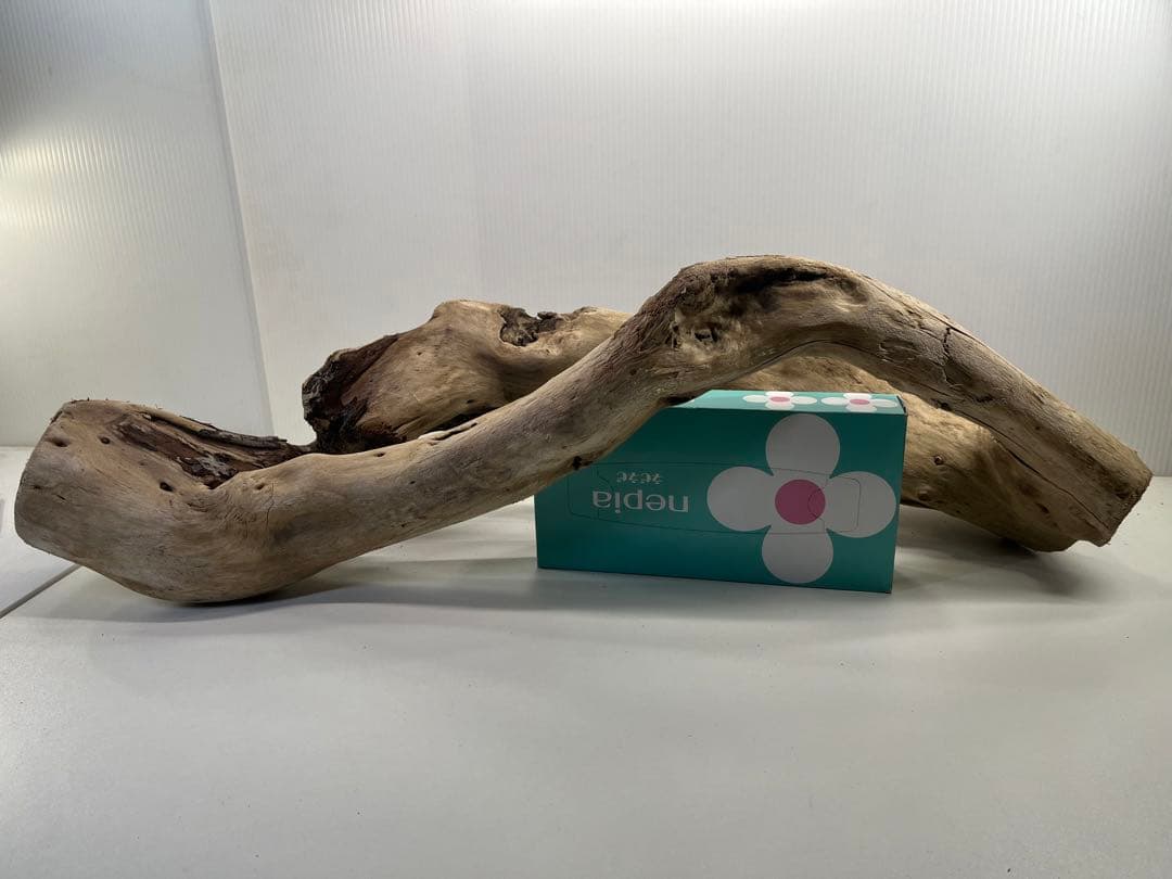 n85大型流木 アク抜き済み 爬虫類シェルター 登り木 レイアウト用 インテリア