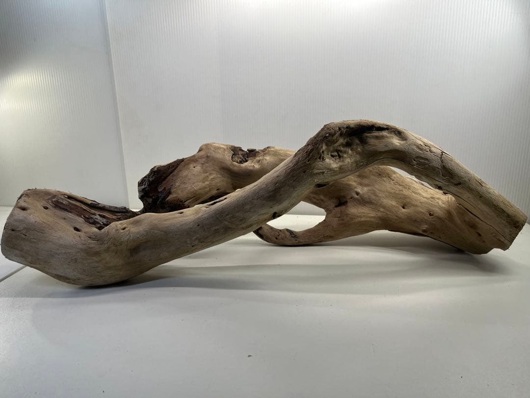 n85大型流木 アク抜き済み 爬虫類シェルター 登り木 レイアウト用 インテリア