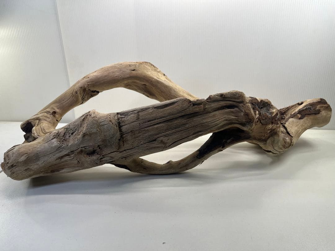 n85大型流木 アク抜き済み 爬虫類シェルター 登り木 レイアウト用 インテリア