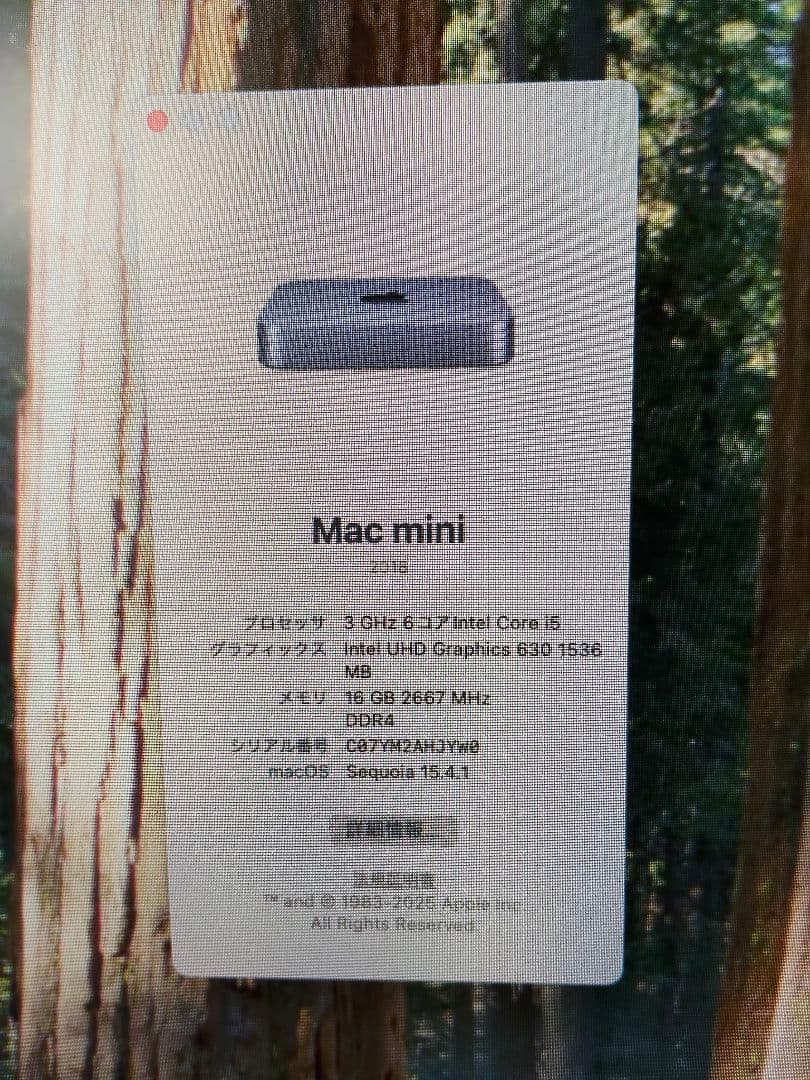 Macデスクトップ Apple Mac mini 2018 3GHz i5 16GB