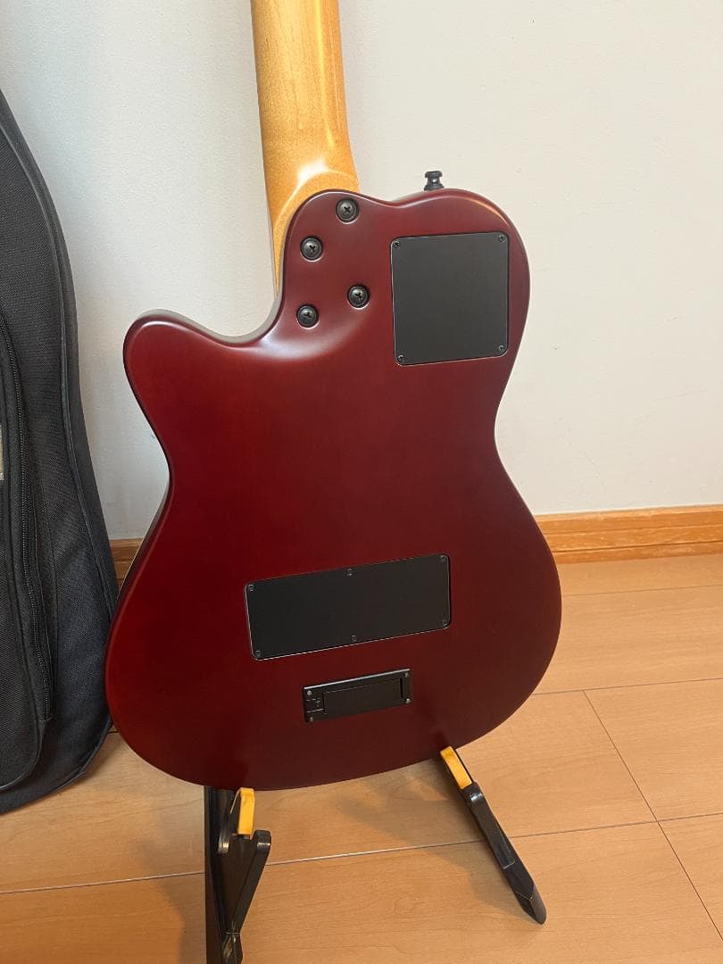 Godin　ゴダン　アコースティックギター　A-１２　１２弦ギター　エレアコ