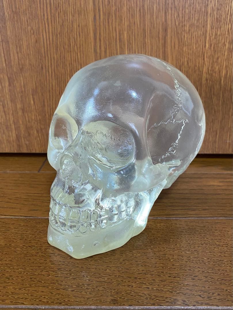 骸骨 スカル 頭蓋骨 ドクロ 髑髏 ガイコツ 置物 インディジョーンズ クリア