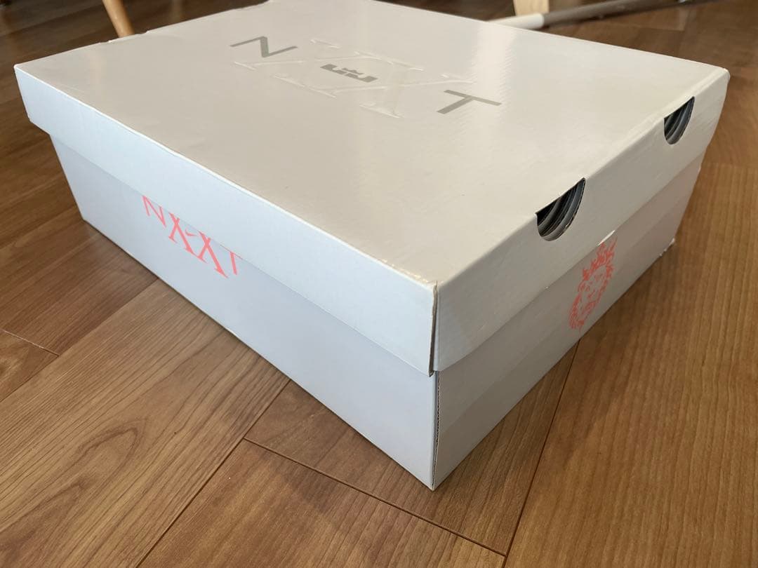 NIKE ZOOM LEBRON NXXT GEN 29cm バスケットシューズ