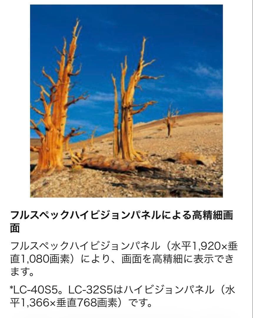 SHARP AQUOS LC-32S5 32インチ液晶テレビ