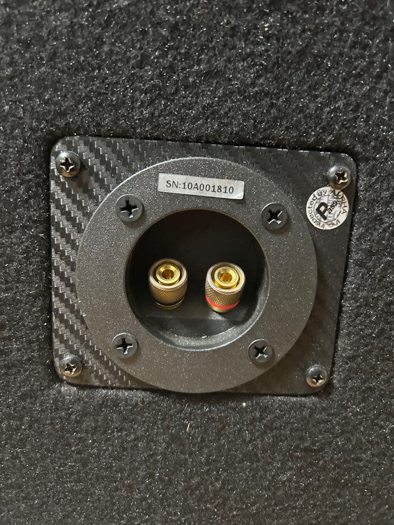 FOCAL フォーカル ウーファー 12インチ