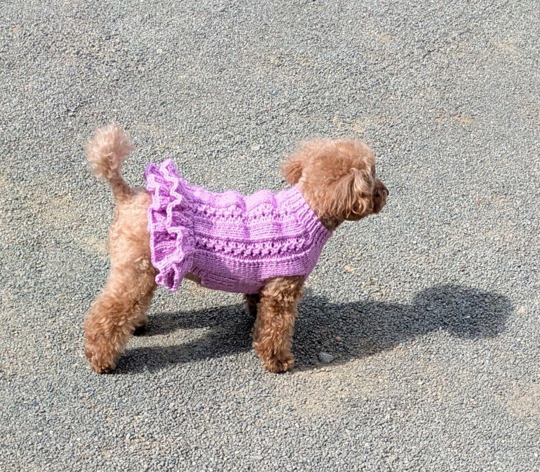 ニット背中側首周り