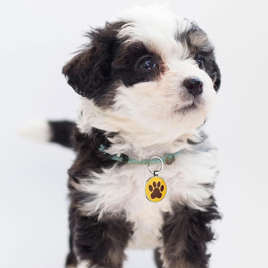 ☆ドッグタグ 迷子札 QRコード ペット用 ネームタグ カスタム名札