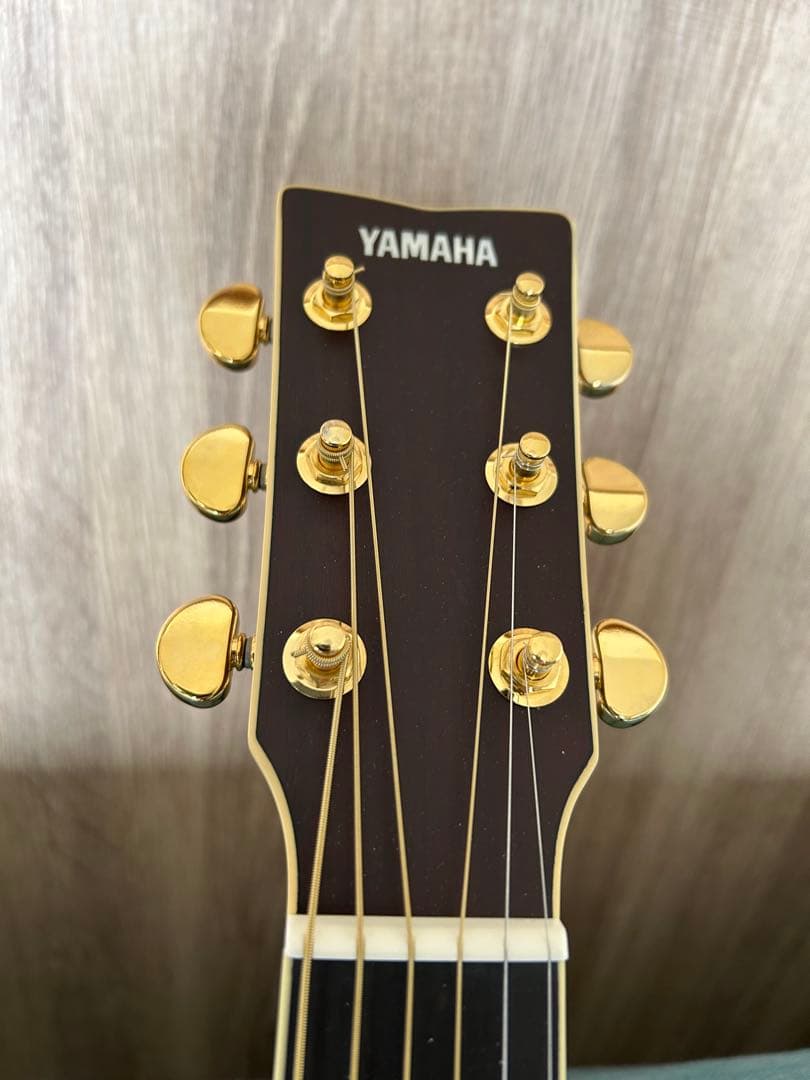 ⭐︎美品・希少⭐︎ YAMAHA ヤマハ LS-16M ARE エレアコ