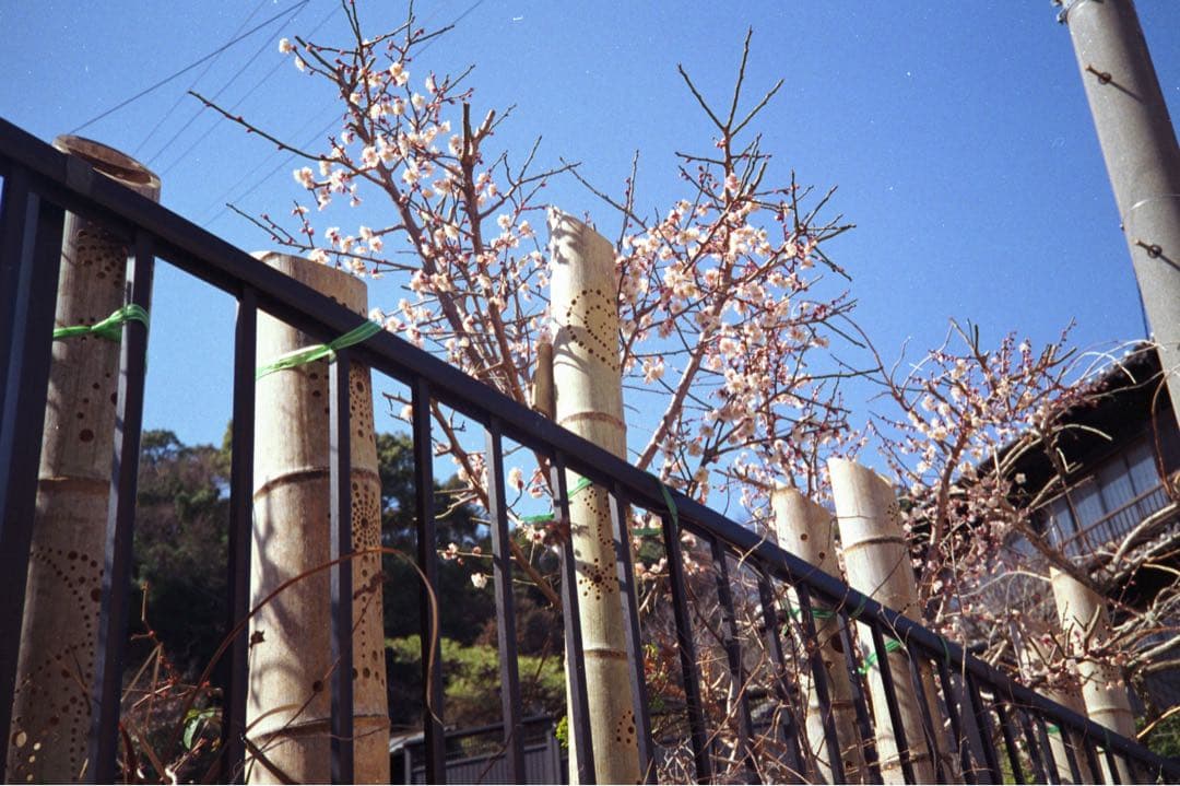 Olympus 35 RC 整備、テスト撮影済　176367