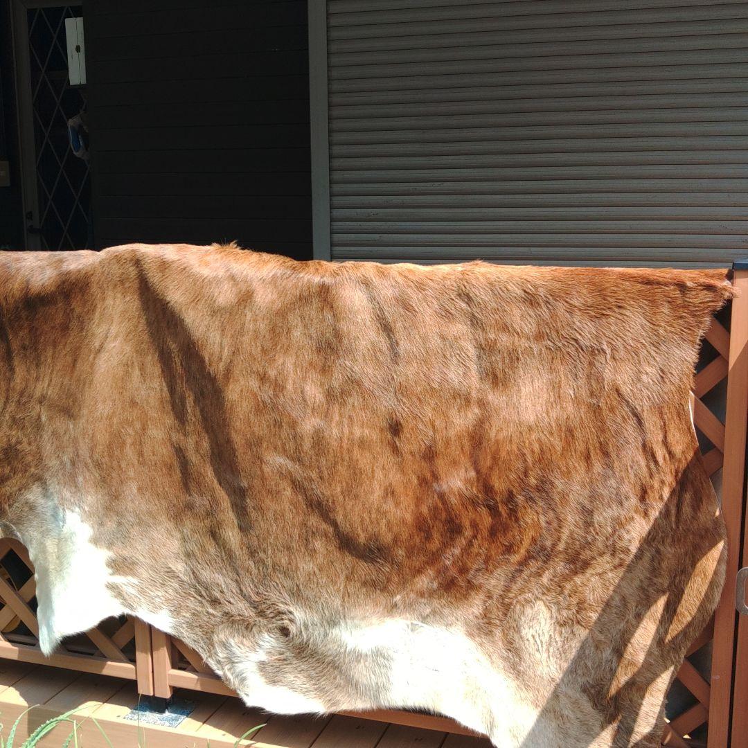 レザー　ラグ　敷物　ハラコ