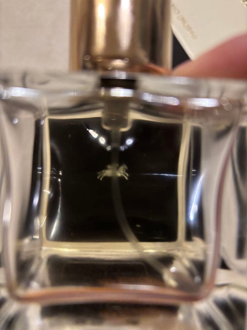 NISHANE WÚLÓNG CHÁ Extrait parfum100ml